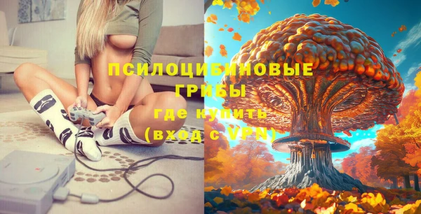 PSILOCYBIN Навашино