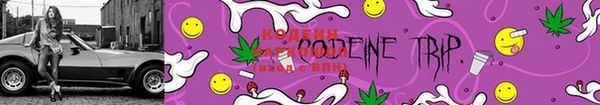 PSILOCYBIN Навашино